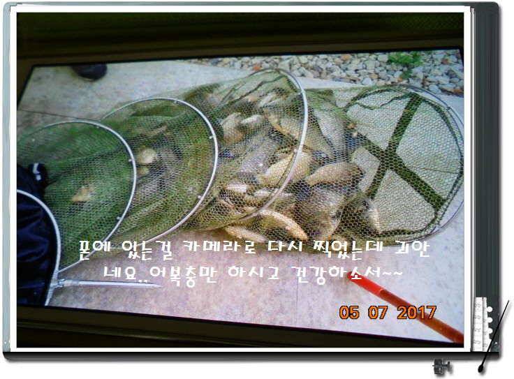 도심속의 작은 쉼터 화성 관리 낚시터입니다 (유료터정보 - 유료터점주조황)