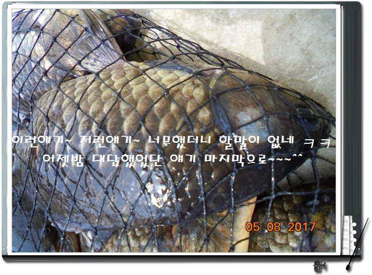 도심속의 작은 쉼터 화성 관리 낚시터입니다 (유료터정보 - 유료터점주조황)