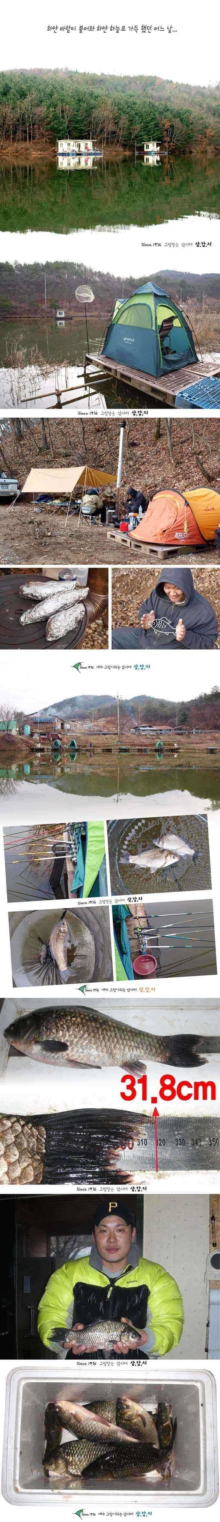 ■■ 삼합지 ■■ 하얀 봄 (유료터정보 - 유료터점주조황)