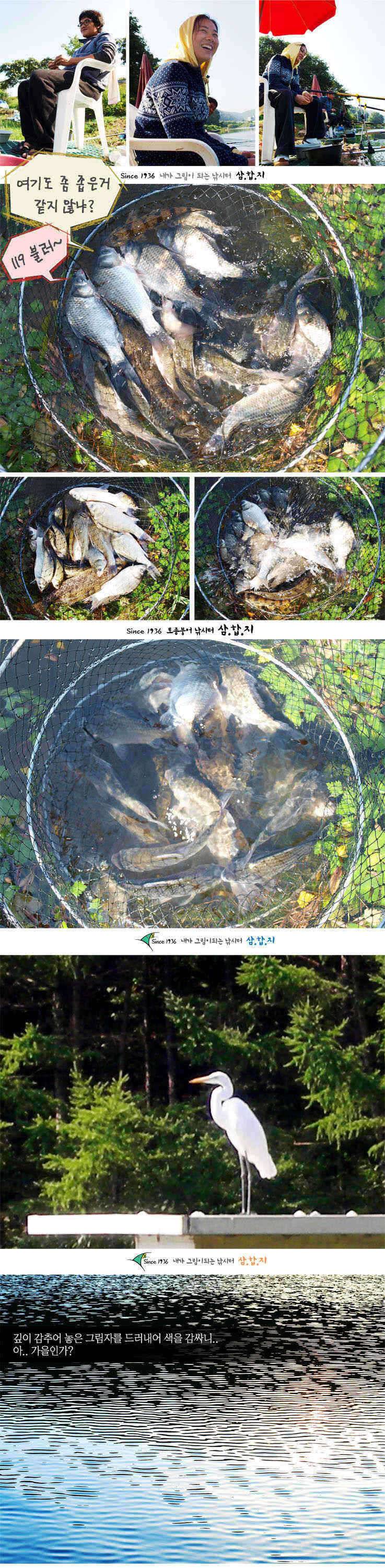 ■■ 삼합지 ■■ 잉어가 사람 잡네 (유료터정보 - 유료터점주조황)