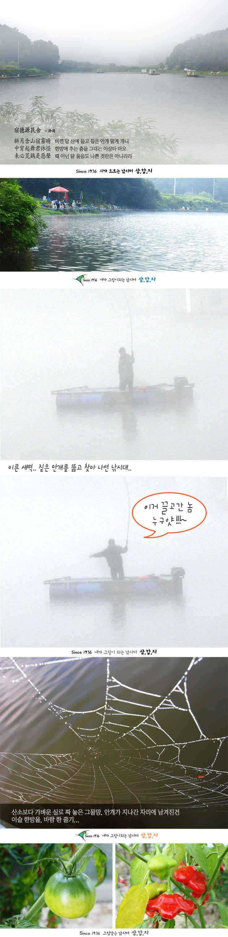 ■■ 삼합지 ■■ 잉어가 사람 잡네 (유료터정보 - 유료터점주조황)