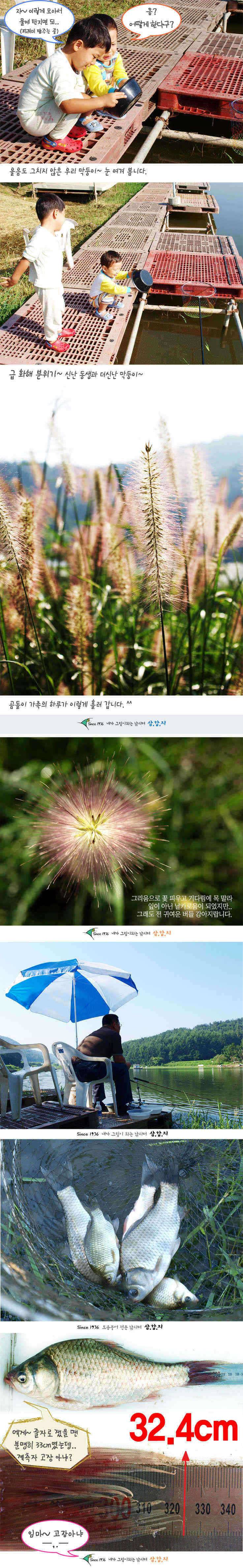 ■■ 삼합지 ■■ 잉어가 사람 잡네 (유료터정보 - 유료터점주조황)
