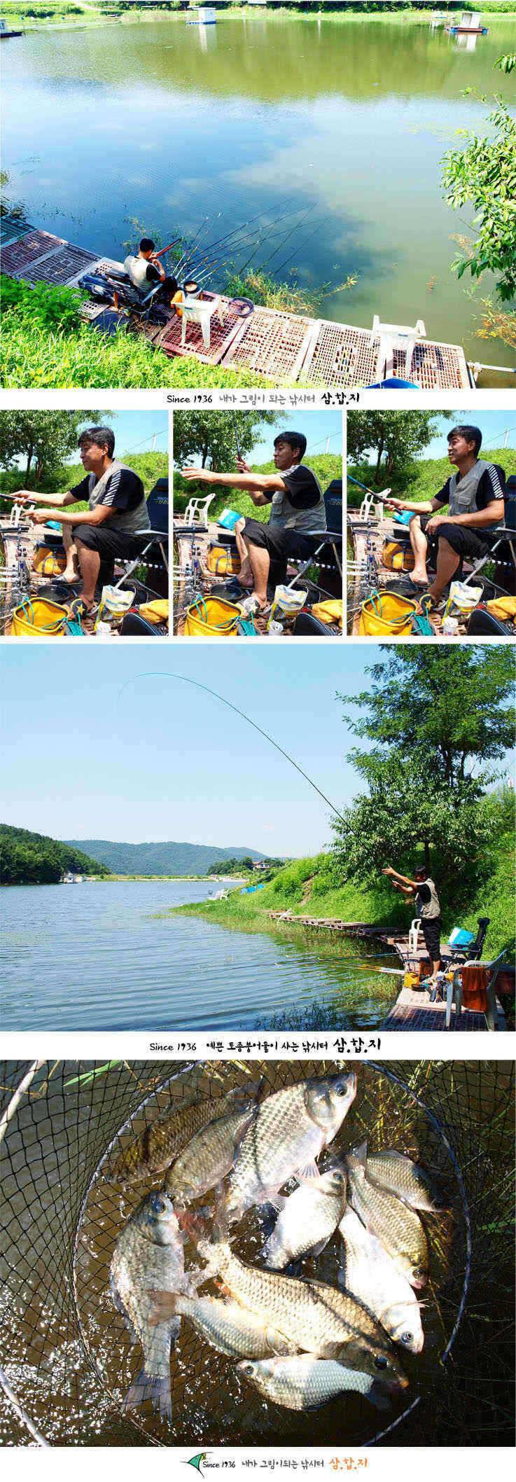 ■■ 삼합지 ■■ 잉어가 사람 잡네 (유료터정보 - 유료터점주조황)