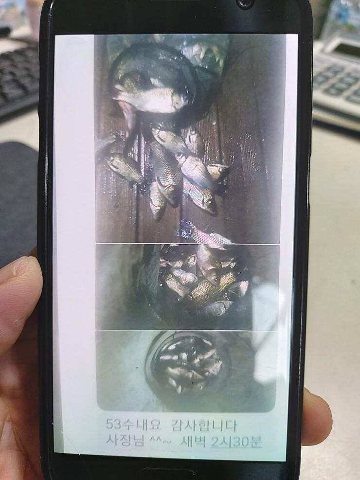 안성만정지 (유료터정보 - 유료터점주조황)