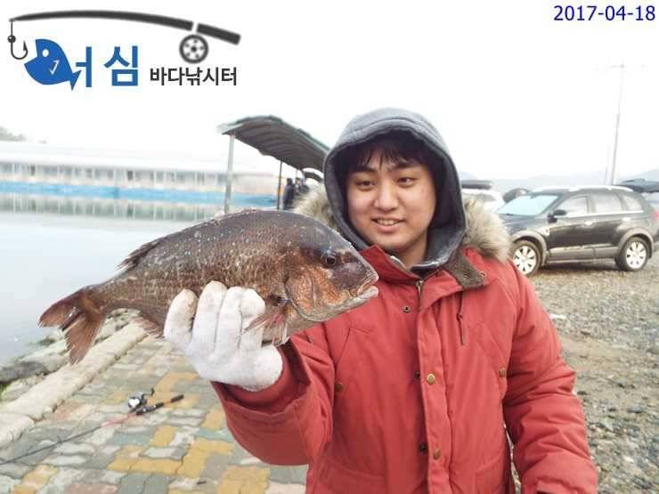 4월18일어심바다낚시터조황 (유료터정보 - 유료터점주조황)