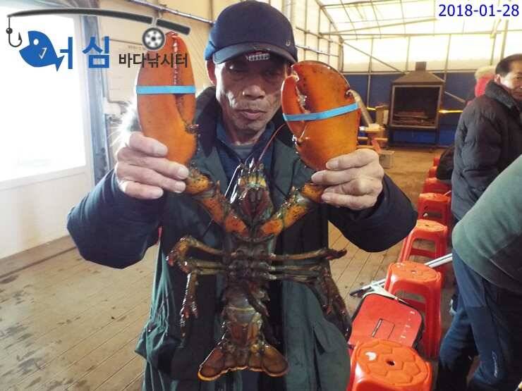 1월28일 어심바다낚시터조황 (유료터정보 - 유료터점주조황)