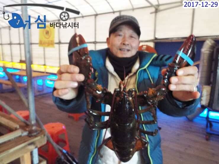 12월29일어심바다낚시터조황 (유료터정보 - 유료터점주조황)