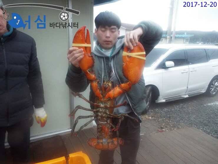 12월20일어심바다낚시터조황 (유료터정보 - 유료터점주조황)