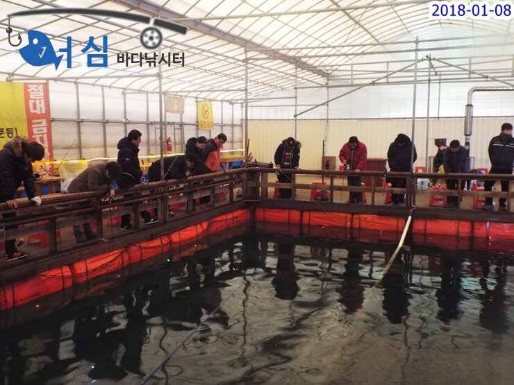1월08일 어심바다낚시터조황 (유료터정보 - 유료터점주조황)