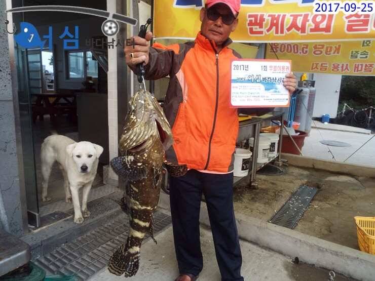 9월 25일 어심바다낚시터 조황 사진 (유료터정보 - 유료터점주조황)