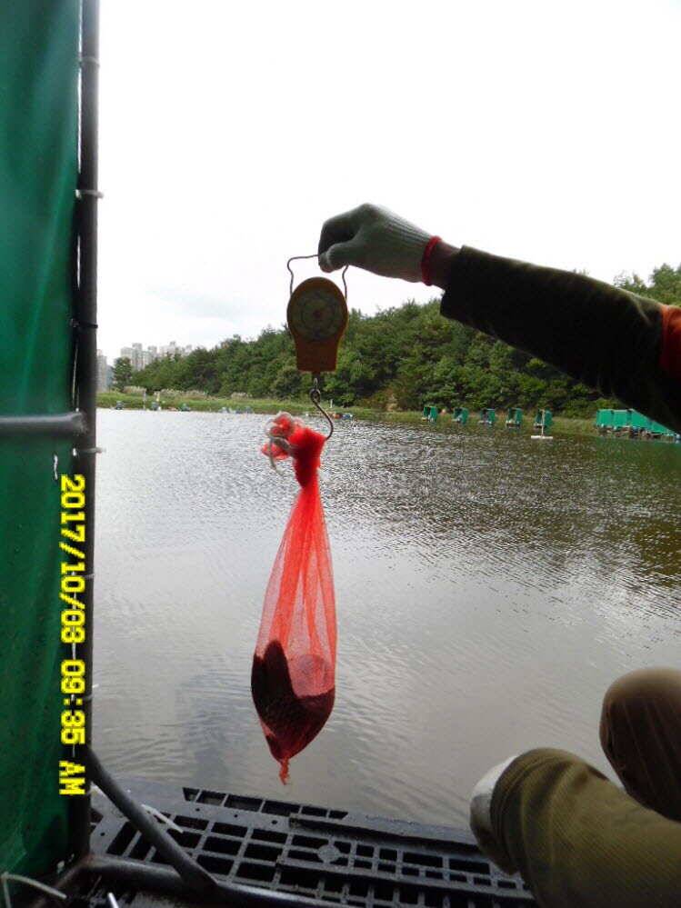 경주동산낚시터 지난주 조황 (유료터정보 - 유료터점주조황)