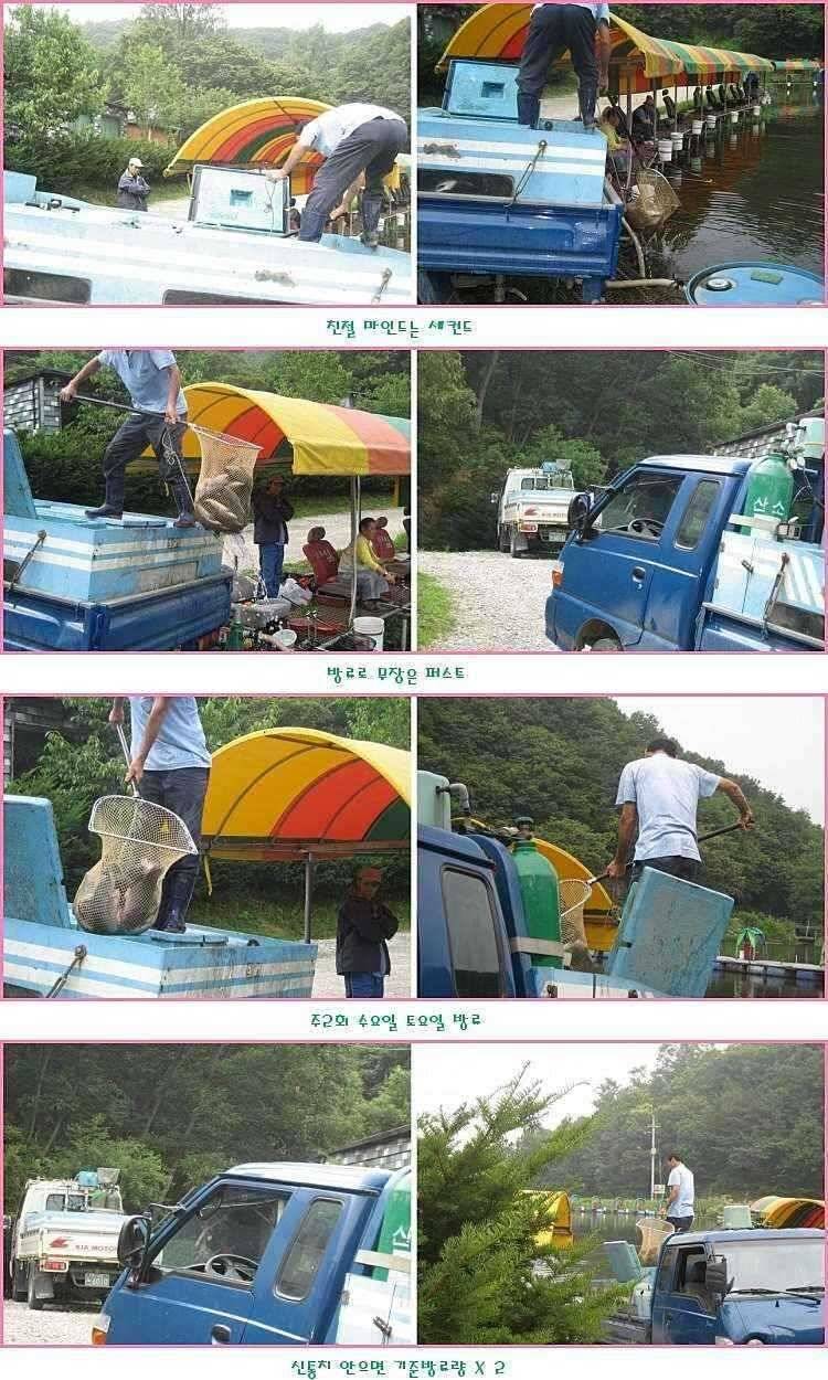 장난꾸러기 악동惡童 or 선동善童 (유료터정보 - 유료터점주조황)