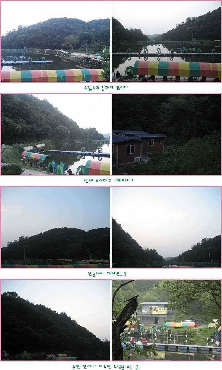 장난꾸러기 악동惡童 or 선동善童 (유료터정보 - 유료터점주조황)