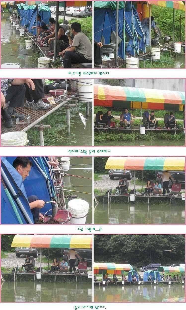 피날레 (유료터정보 - 유료터점주조황)