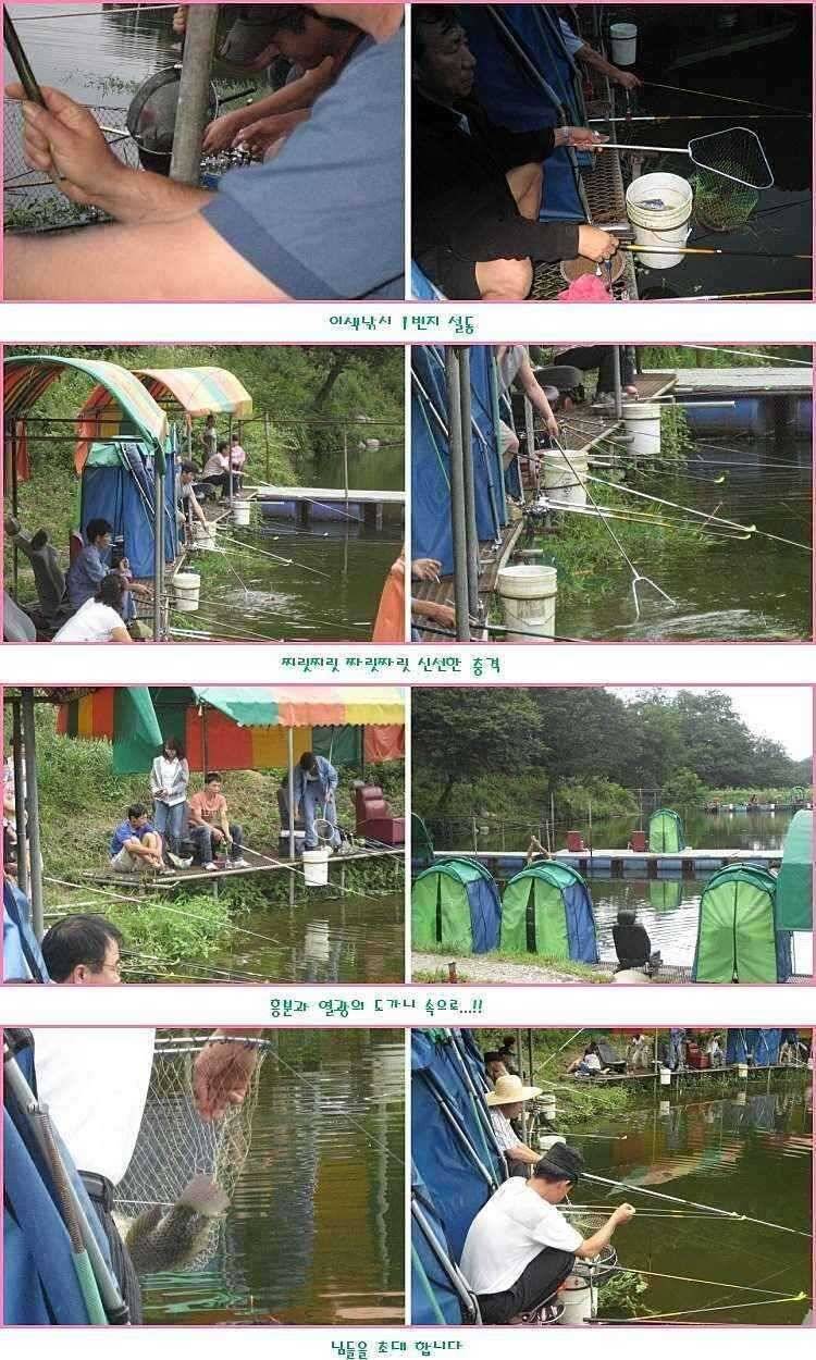 피날레 (유료터정보 - 유료터점주조황)