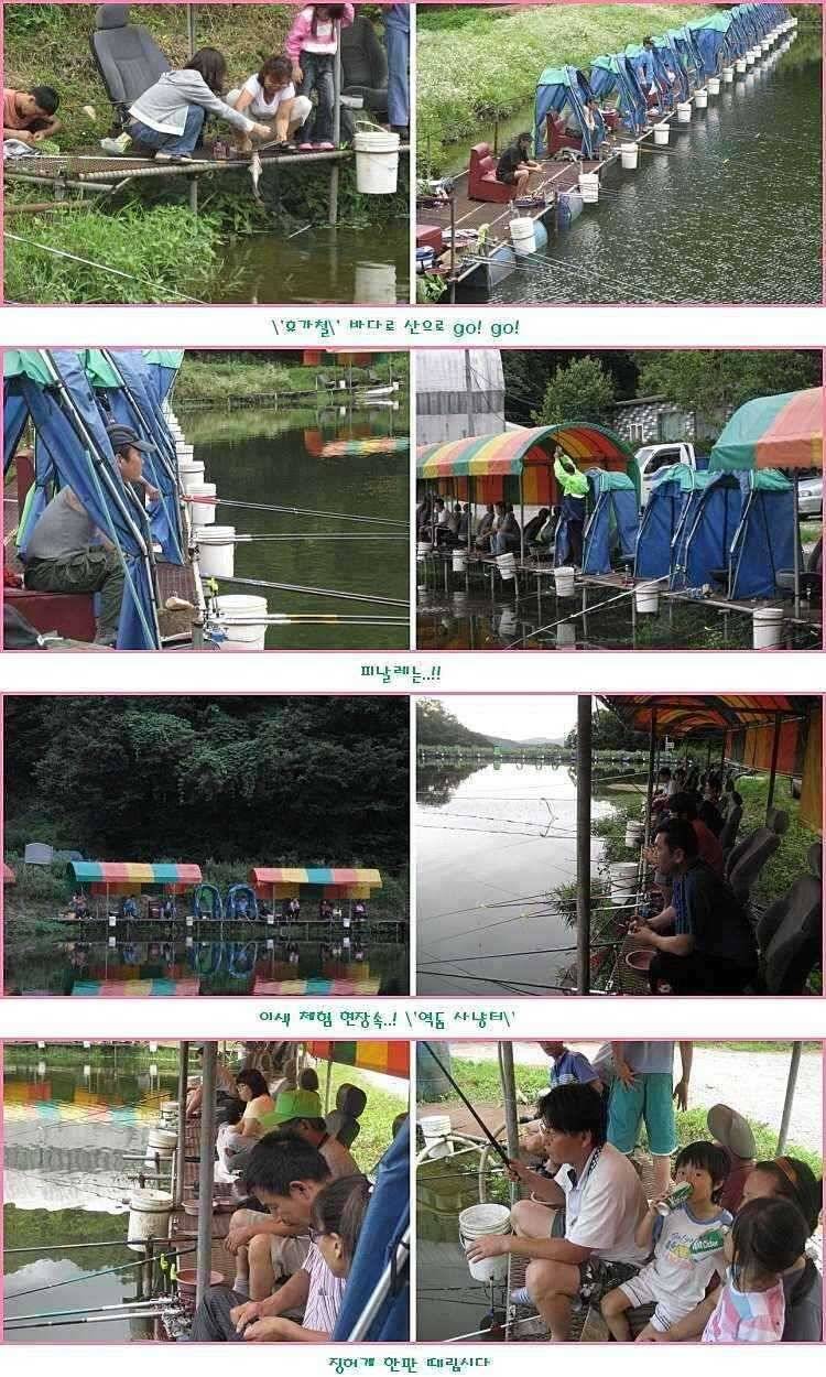 피날레 (유료터정보 - 유료터점주조황)