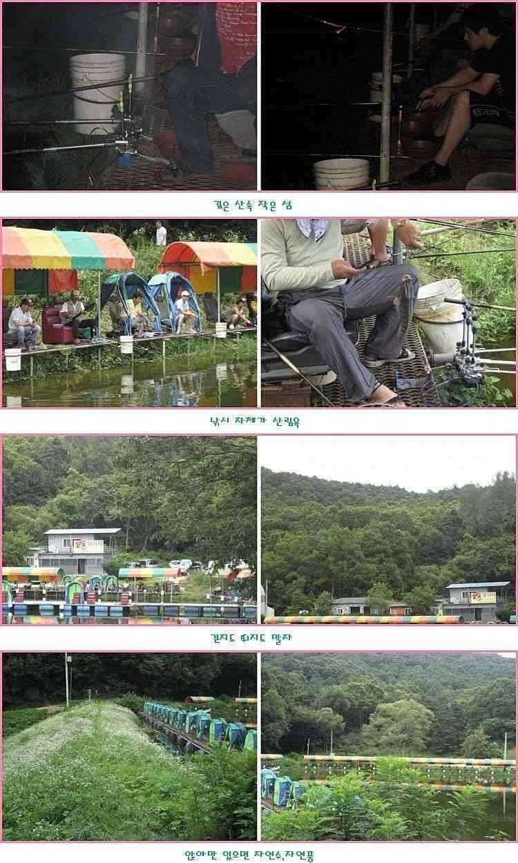 피날레 (유료터정보 - 유료터점주조황)