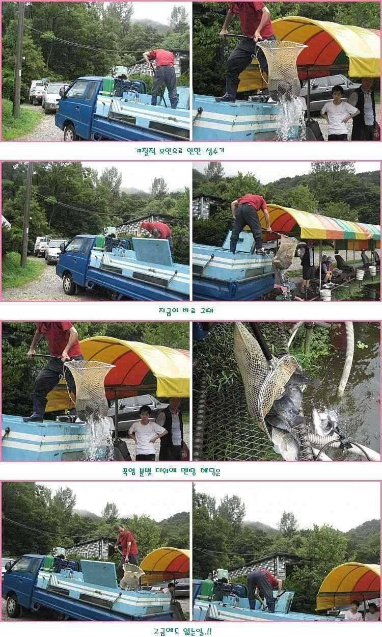 납량 특집 (유료터정보 - 유료터점주조황)