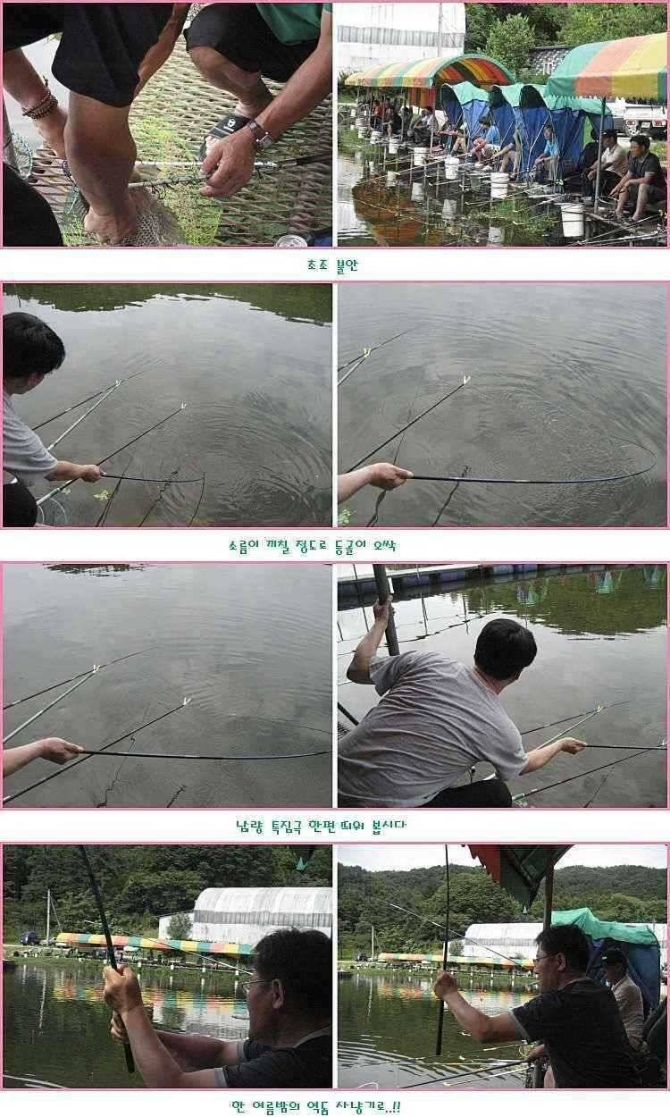 납량 특집 (유료터정보 - 유료터점주조황)