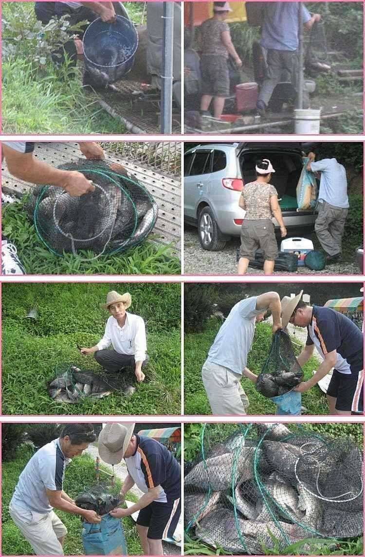 꾐에 빠져 (유료터정보 - 유료터점주조황)