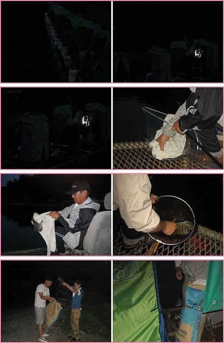 작대기 바늘 (유료터정보 - 유료터점주조황)