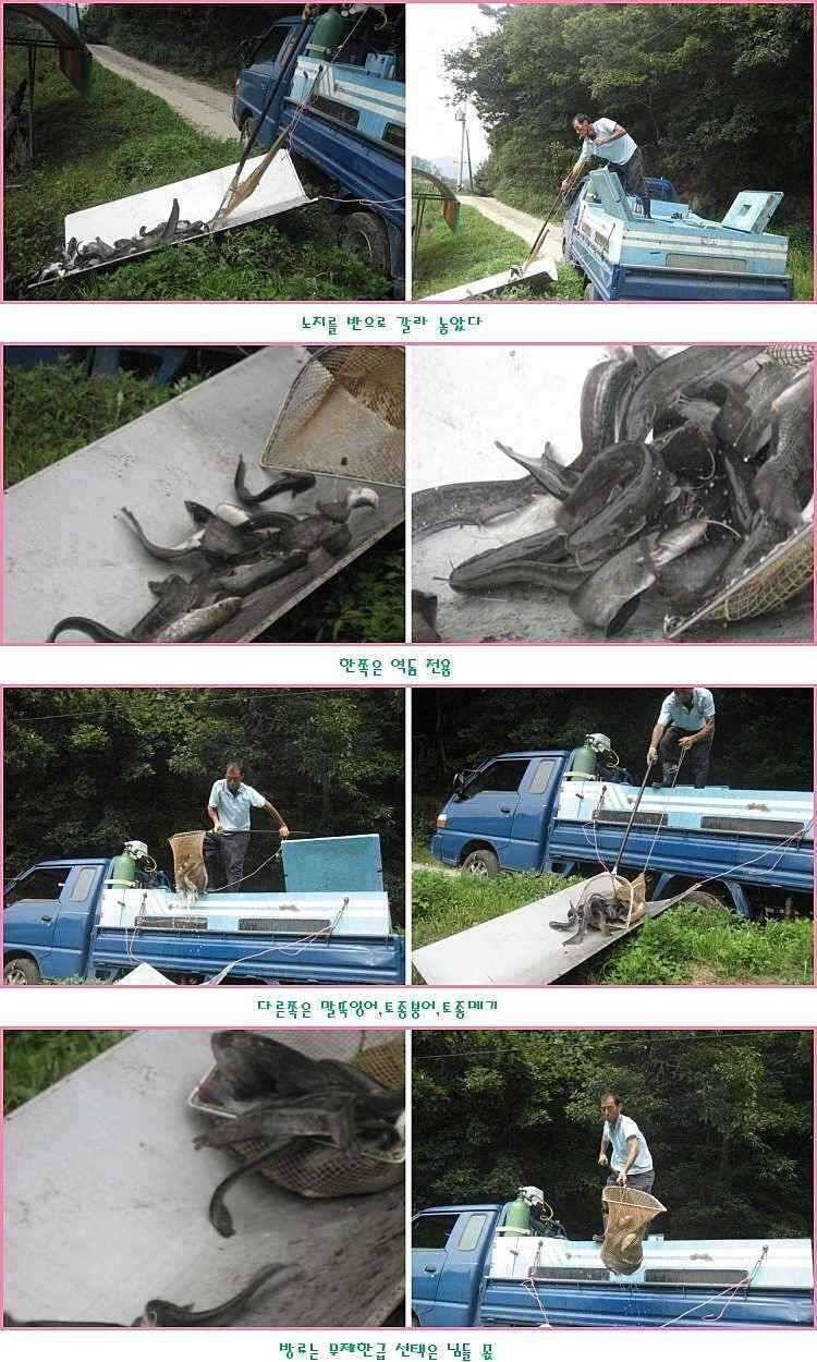 선택은 무죄 (유료터정보 - 유료터점주조황)