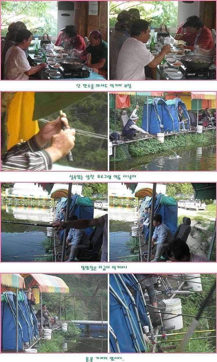 선택은 무죄 (유료터정보 - 유료터점주조황)