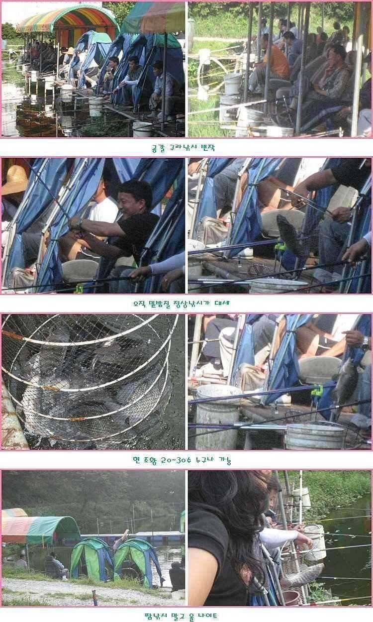 선택은 무죄 (유료터정보 - 유료터점주조황)
