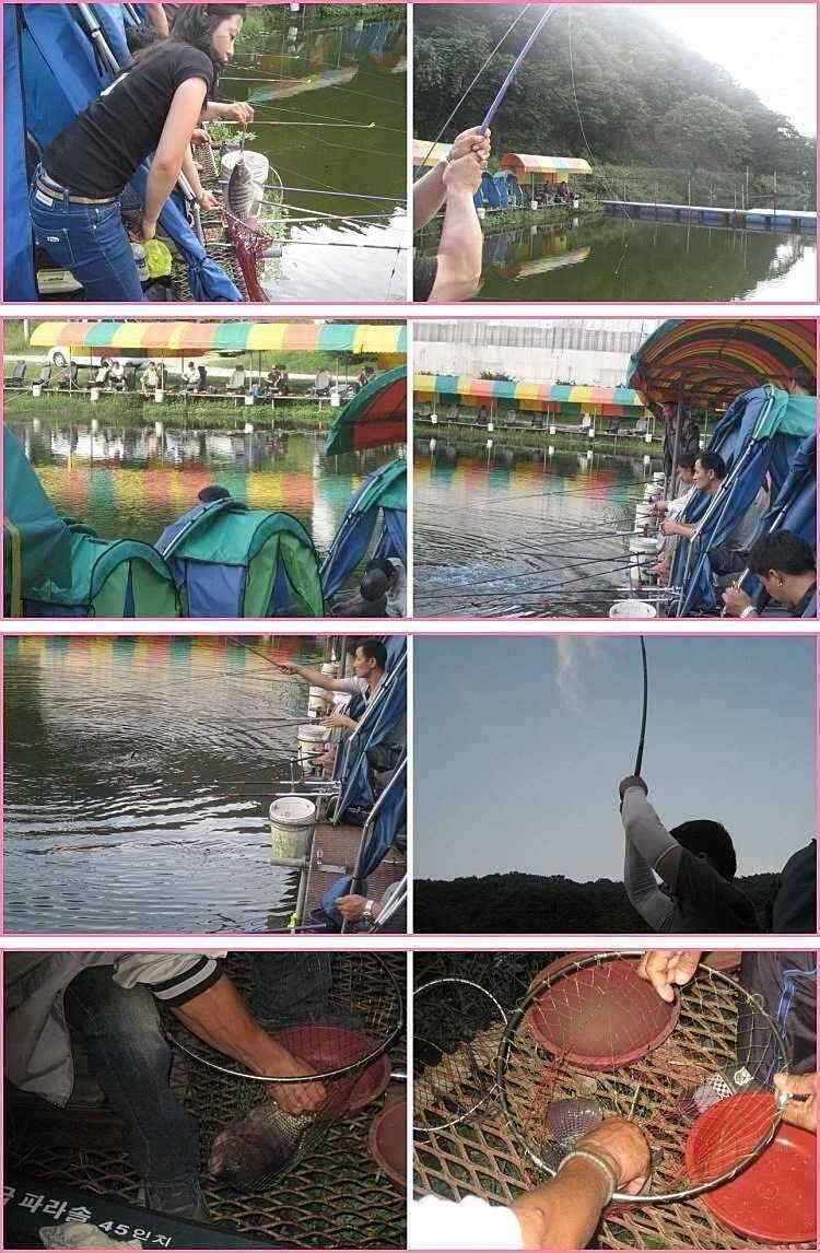선택은 무죄 (유료터정보 - 유료터점주조황)
