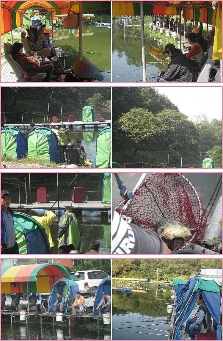 아욱국 (유료터정보 - 유료터점주조황)