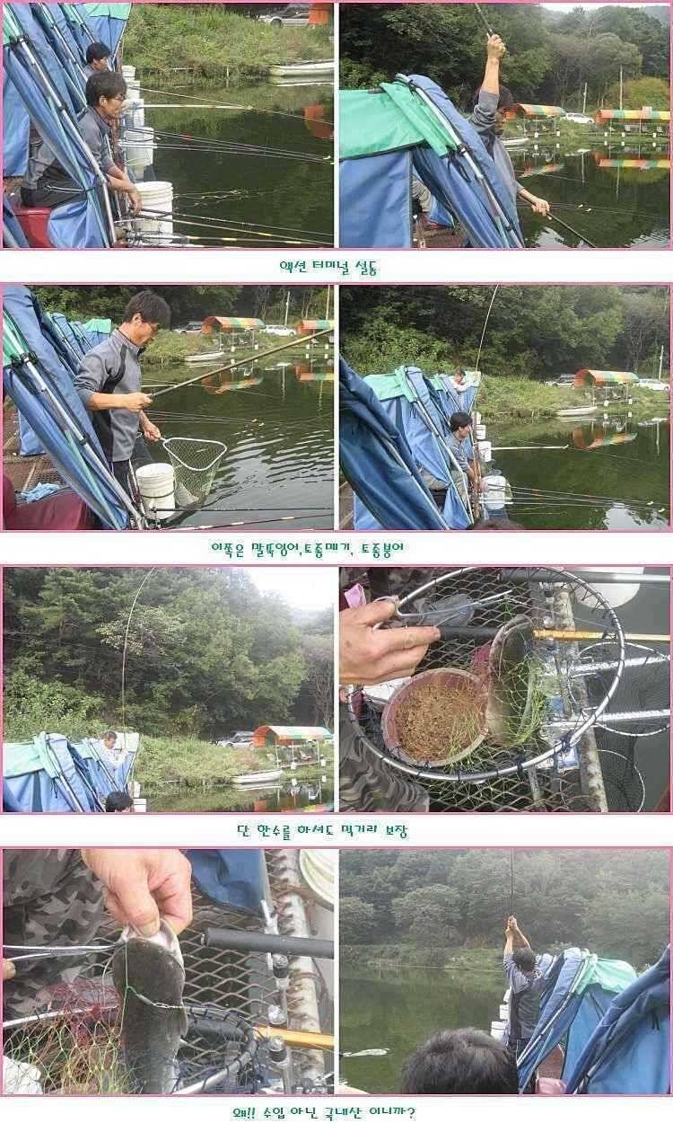없는 살림에 횡재 (유료터정보 - 유료터점주조황)