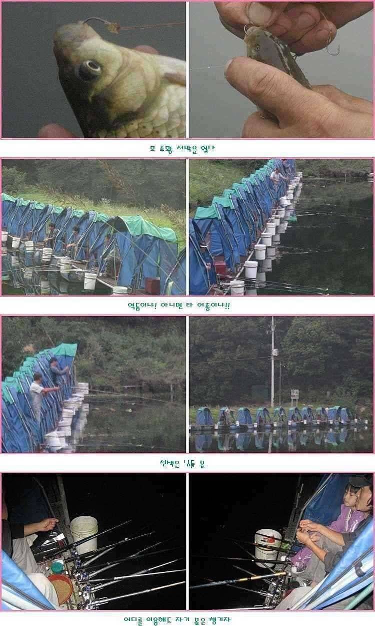 없는 살림에 횡재 (유료터정보 - 유료터점주조황)