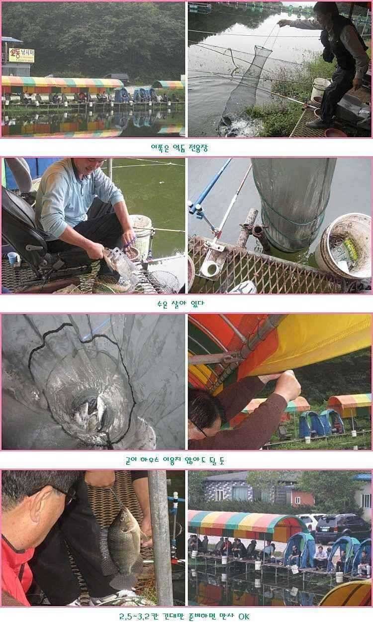 없는 살림에 횡재 (유료터정보 - 유료터점주조황)
