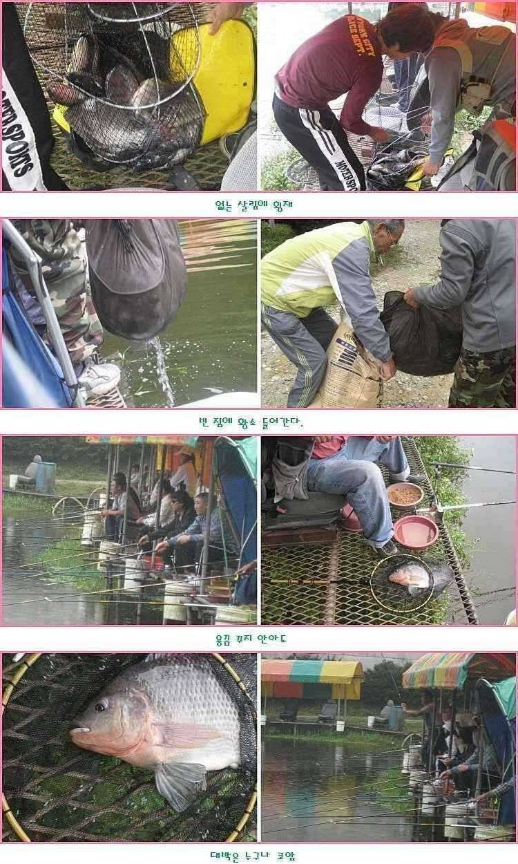없는 살림에 횡재 (유료터정보 - 유료터점주조황)