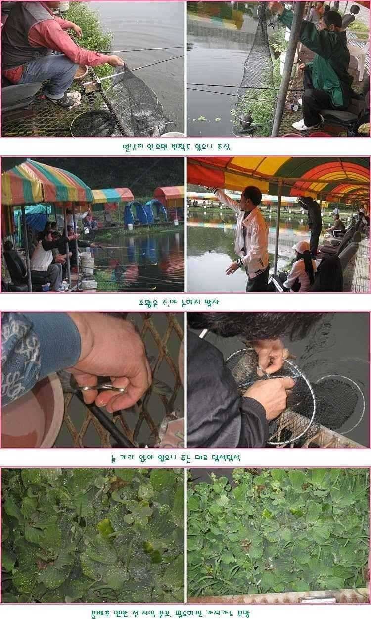 없는 살림에 횡재 (유료터정보 - 유료터점주조황)