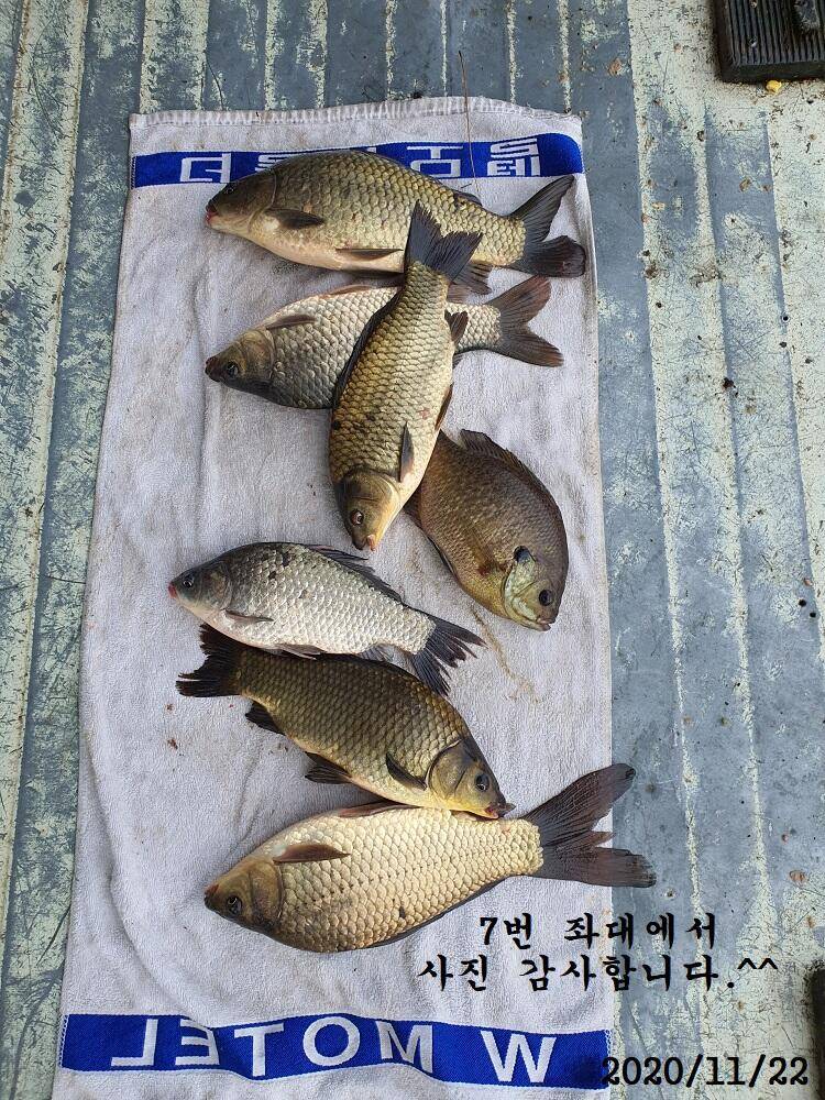아산신수지 11월 넷째 주말 화보입니다 (유료터정보 - 유료터점주조황)