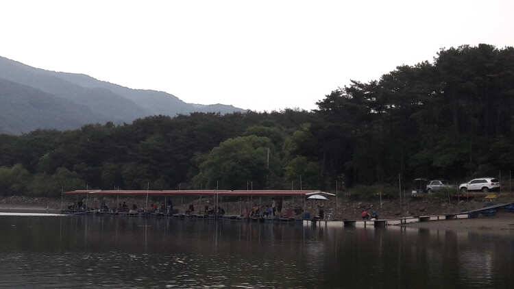 아산 산들낚시터의 6월25일에 올리는 엄지척 주말 모습 (유료터정보 - 유료터점주조황)