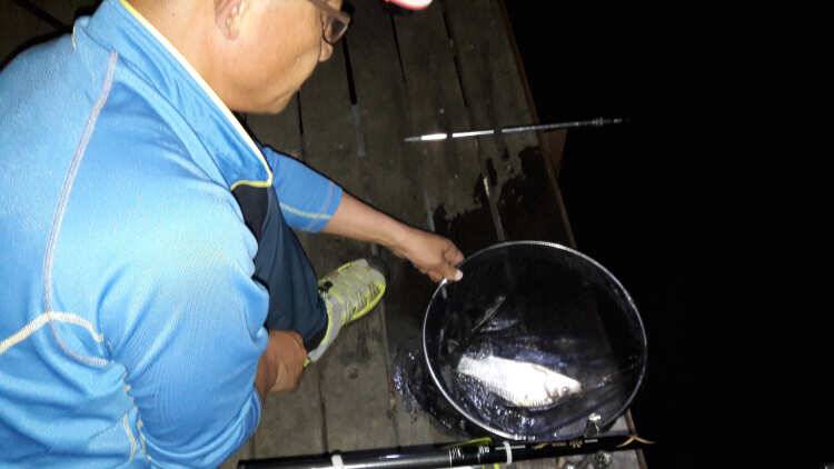아산 산들낚시터의 6월25일에 올리는 엄지척 주말 모습 (유료터정보 - 유료터점주조황)