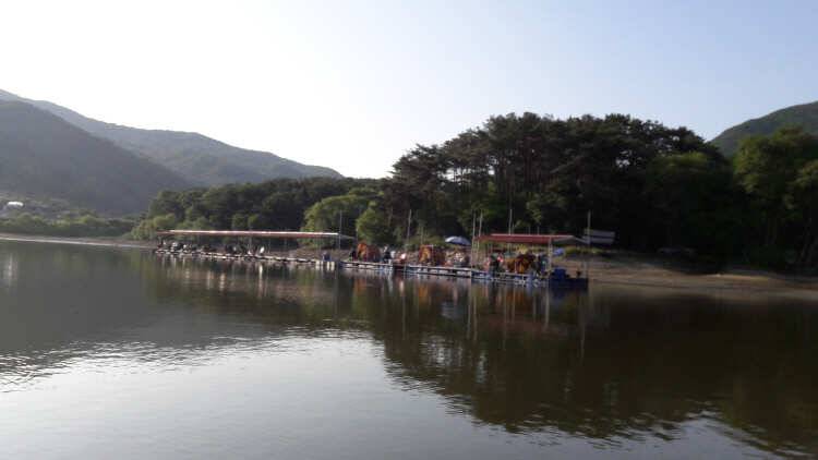 아산 산들낚시터의 6월 둘째주 주말 소식 올립니다 (유료터정보 - 유료터점주조황)