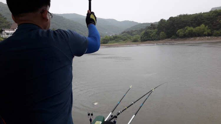 아산 산들낚시터의 대박 조황인 일요일 모습입니다 (유료터정보 - 유료터점주조황)