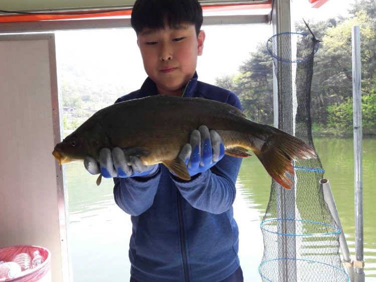 아산 산들낚시터에서 4월 넷째주 주말에 올리는 모습입니다 (유료터정보 - 유료터점주조황)