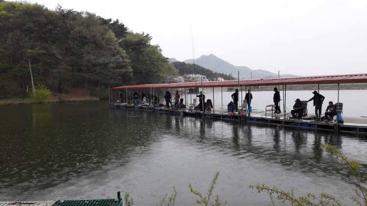 아산 산들낚시터에서 4월 넷째주 주말에 올리는 모습입니다 (유료터정보 - 유료터점주조황)