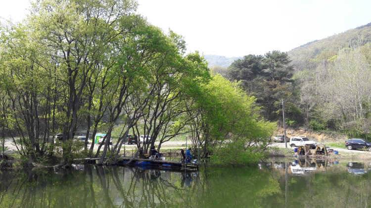 아산 산들낚시터에서 4월 넷째주 주말에 올리는 모습입니다 (유료터정보 - 유료터점주조황)