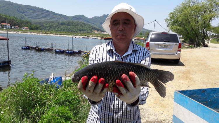 아산 산들낚시터의 5월22일에 올리는 모습입니다 (유료터정보 - 유료터점주조황)