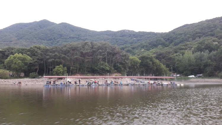 아산 산들낚시터의 6월 18일 주말에 올리는 모습 (유료터정보 - 유료터점주조황)
