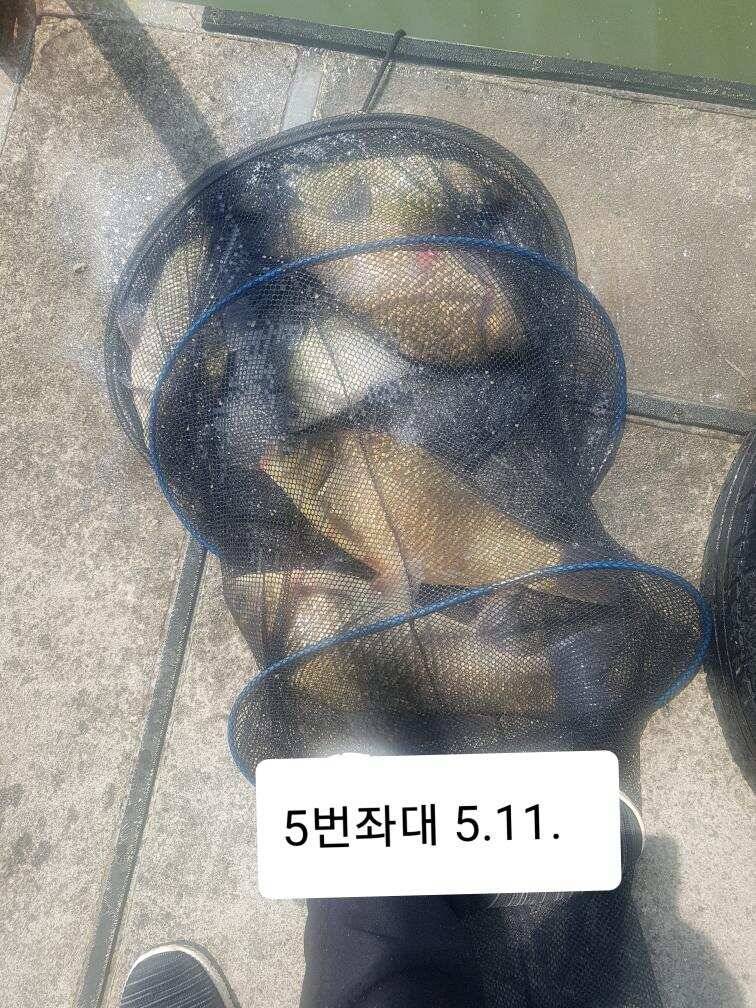 주중조황 입니다 (유료터정보 - 유료터점주조황)