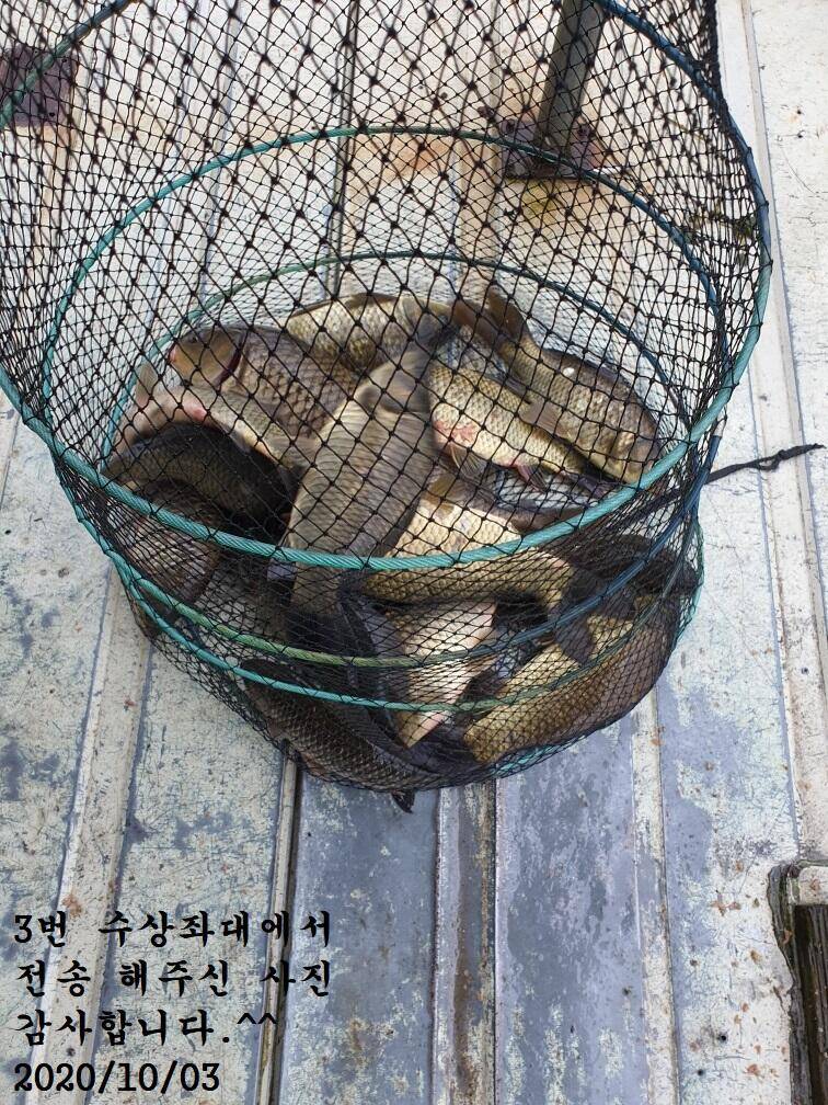 아산신수지 10월 3일 화보입니다 (유료터정보 - 유료터점주조황)