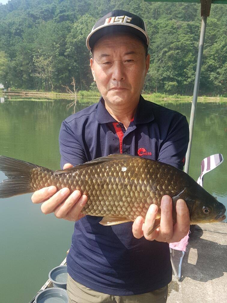 4짜는 꾸준이 나오네요 문의 031 882 6500 (유료터정보 - 유료터점주조황)