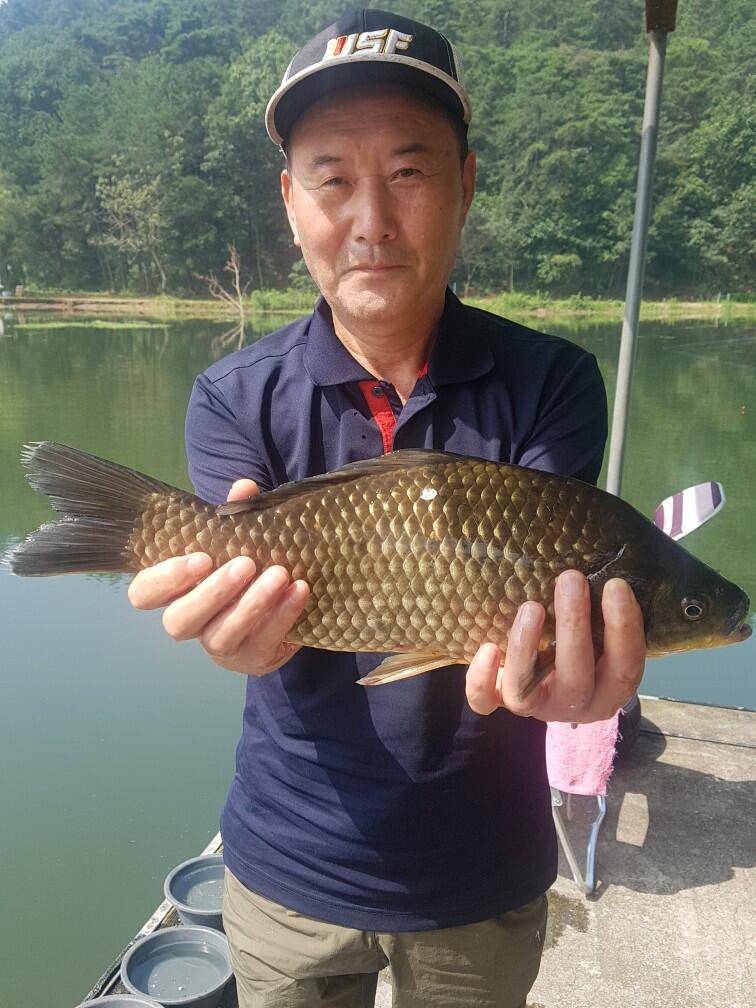 계속이어지는4짜 오늘도 9수 평일임에도 많이들 오셨읍니다 멋진어우실지에 빠졌담니다 ㅡ (유료터정보 - 유료터점주조황)