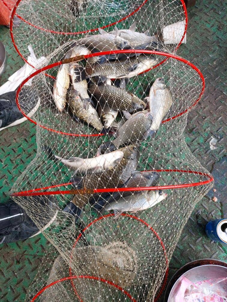 아산 안골지 조황정보 입니다 (유료터정보 - 유료터점주조황)